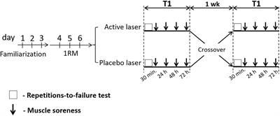 Photobiomodulation Therapy at 808 nm Does Not Improve Biceps Brachii Performance to Exhaustion and Delayed-Onset Muscle Soreness in Young Adult Women: A Randomized, Controlled, Crossover Trial